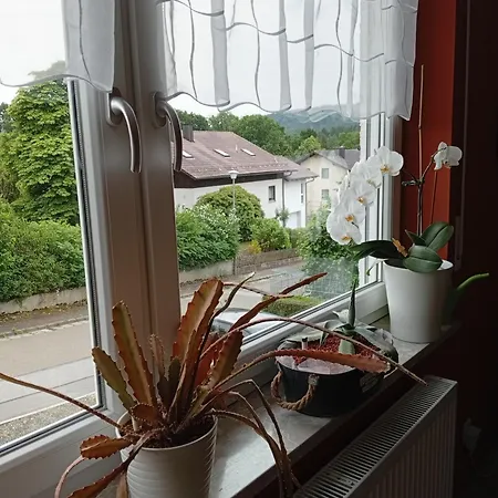 Rackl Apartment *